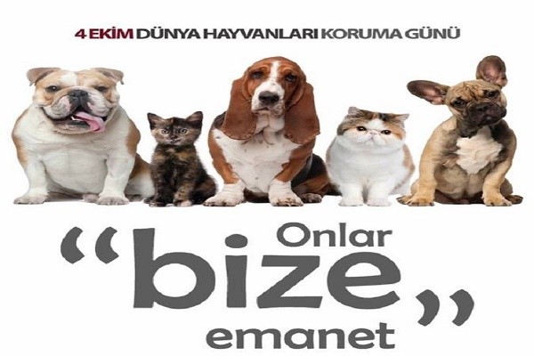 4 Ekim Dünya Hayvanları Koruma Günü