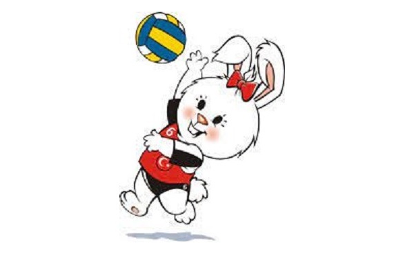 Genç Kadın Voleybolcuların İncelenmesi