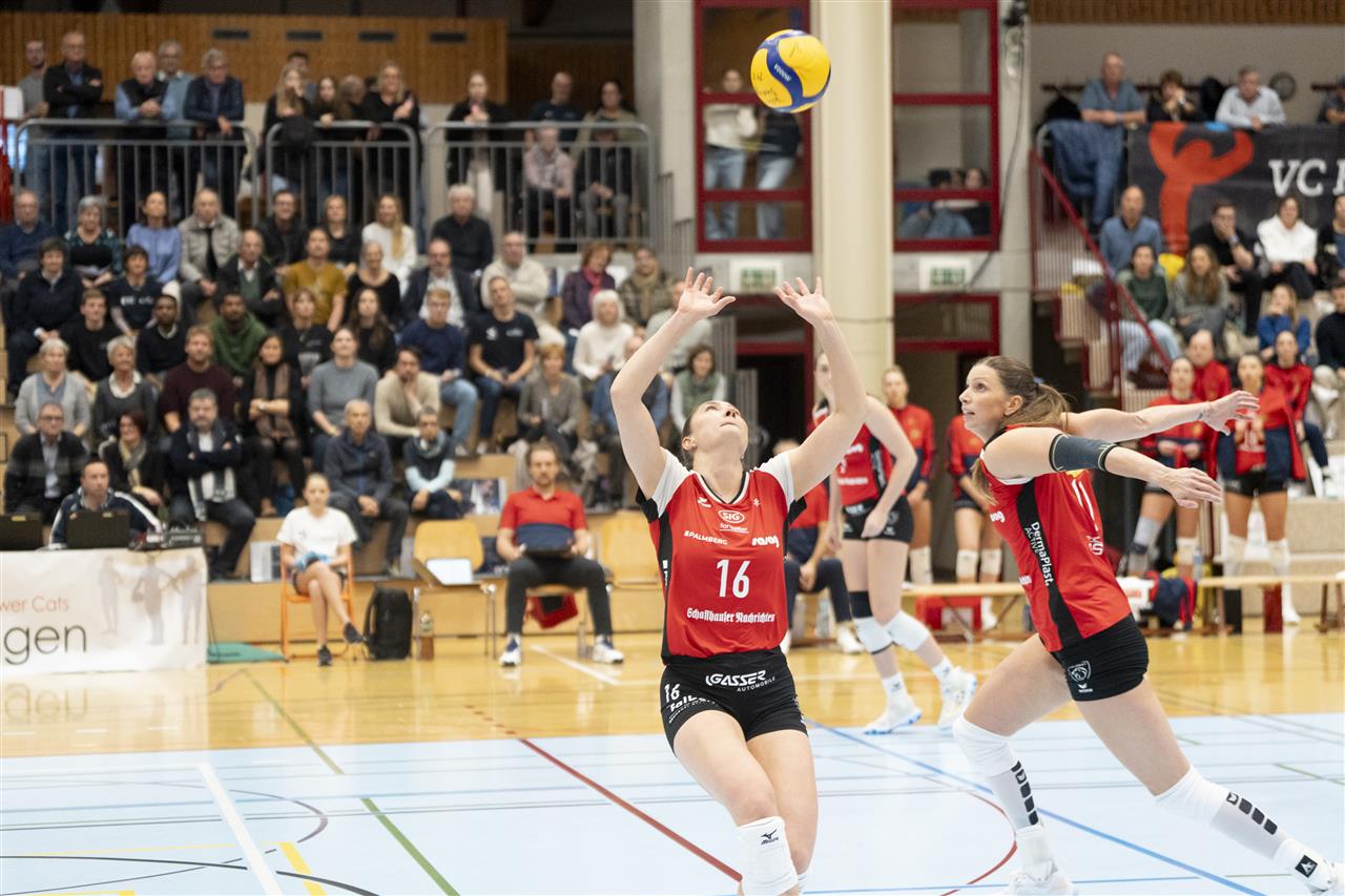 Erkekler CEV Challenge Cup'ta 4 maç oynandı