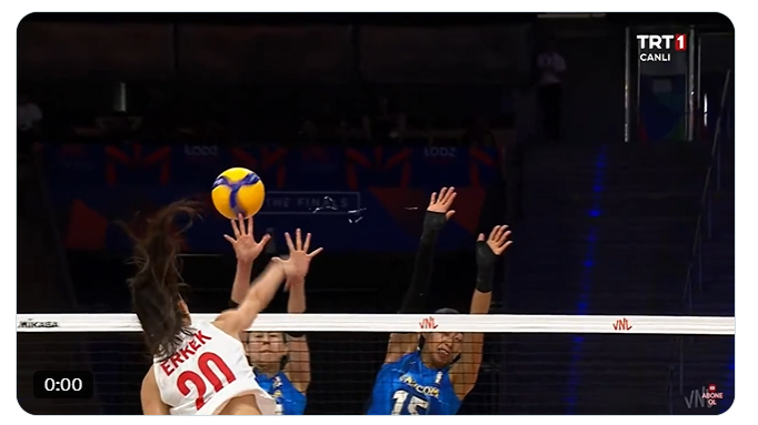 Yine Japonya Maçı, Yine Hakem Hatası