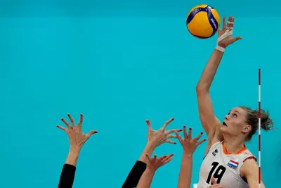 Düşlem Gökgöz'den Nika Daalderop İncelemesi