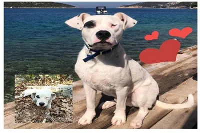 Bizi hiç şaşırtmıyorsun Gizem Giraygil!